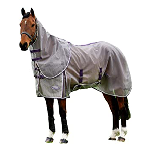 Horse Blankets and Sheets